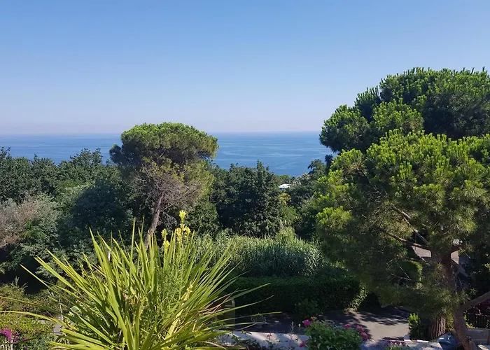 Residenza Mimosa