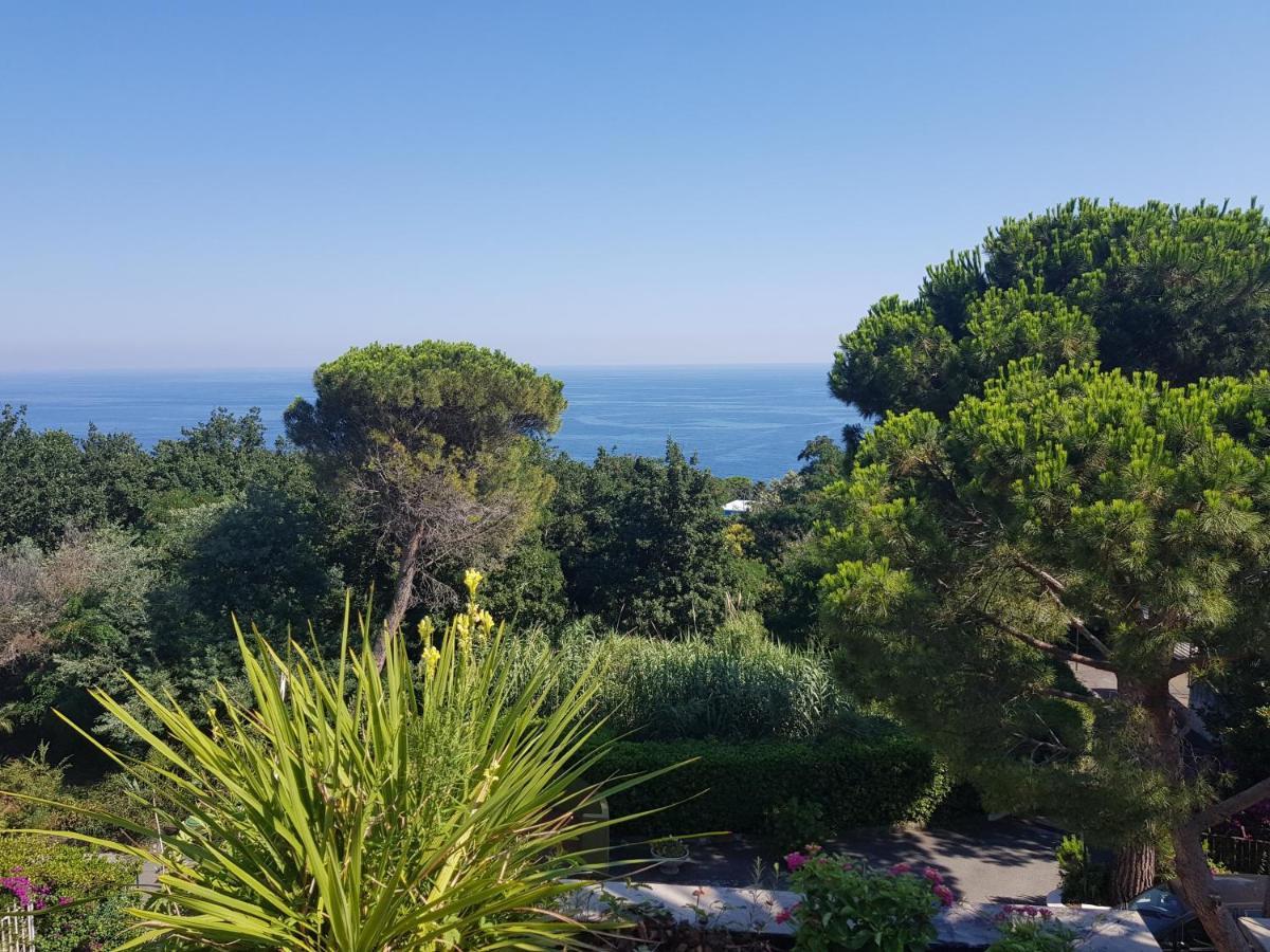 Residenza Mimosa Varazze