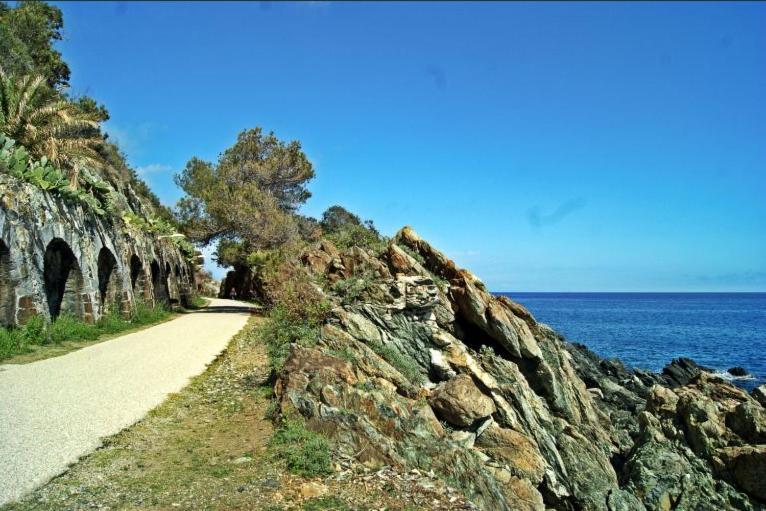 Residenza Mimosa Appartamento