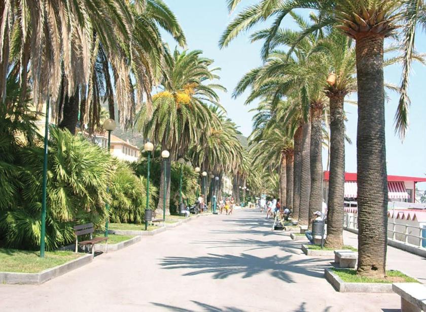 Residenza Mimosa